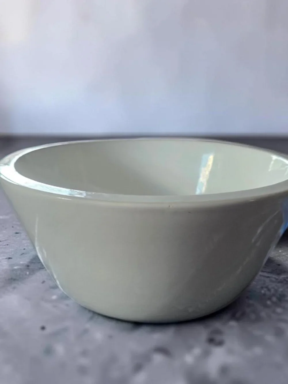 Vintage PIER 1 RARE Wide Rim White Ceramic Bowl 10.5